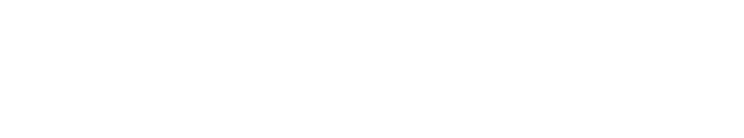 Custom Branding PRO